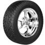 Nitto NT450