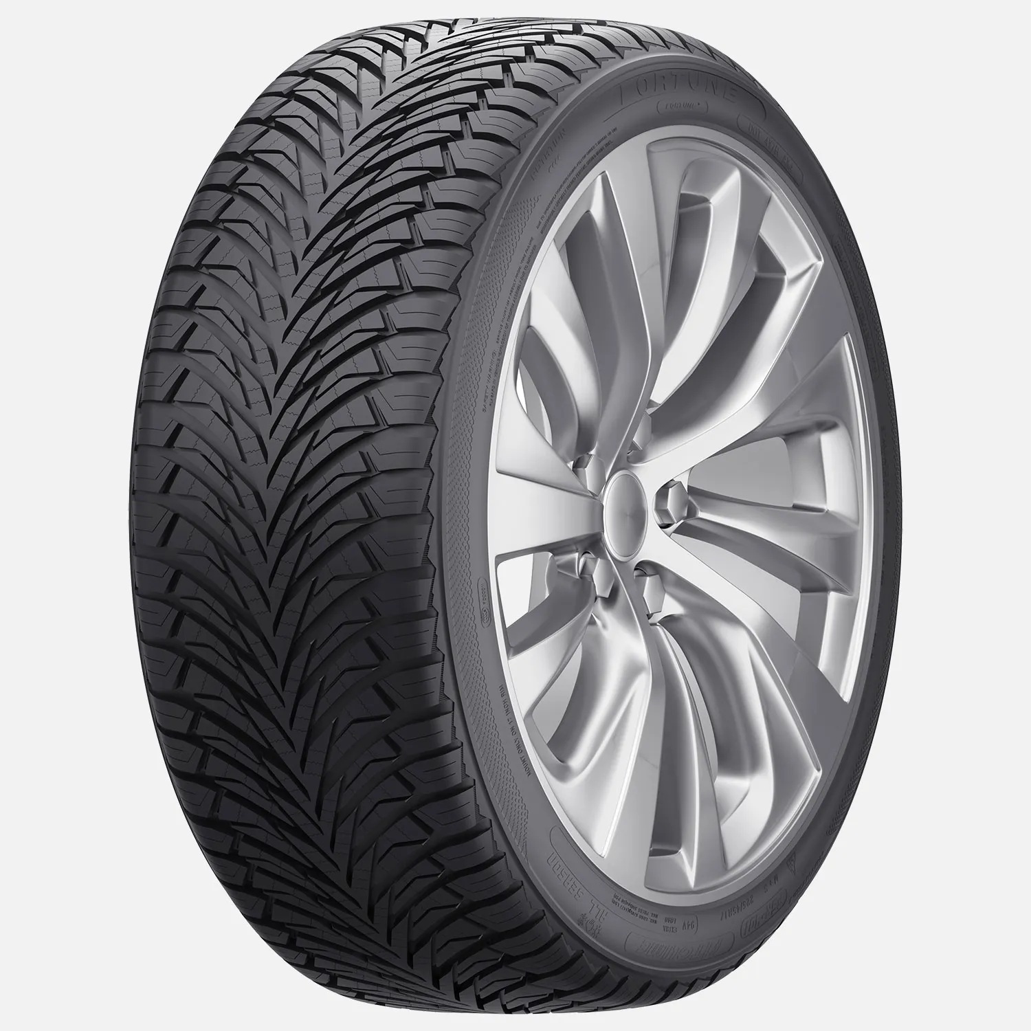 Fortune-FSR-401-1