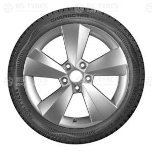 Ikon (Nokian Tyres) Character Snow 2 (Nordman RS2) SUV 225/55 R19 103T