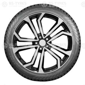 Hakkapeliitta 10p