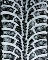 Nokian Hakkapeliitta 5